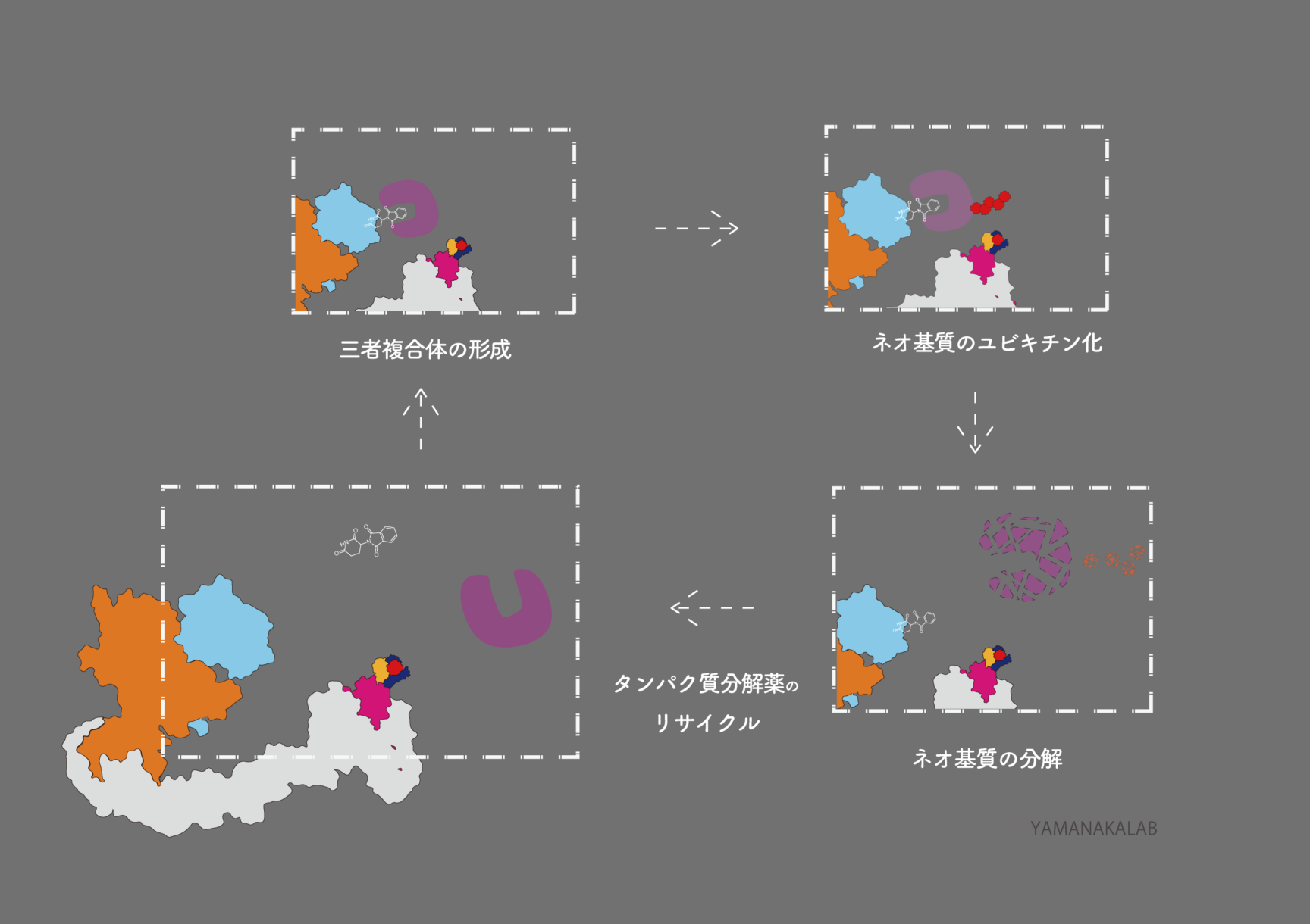 分解薬リサイクル