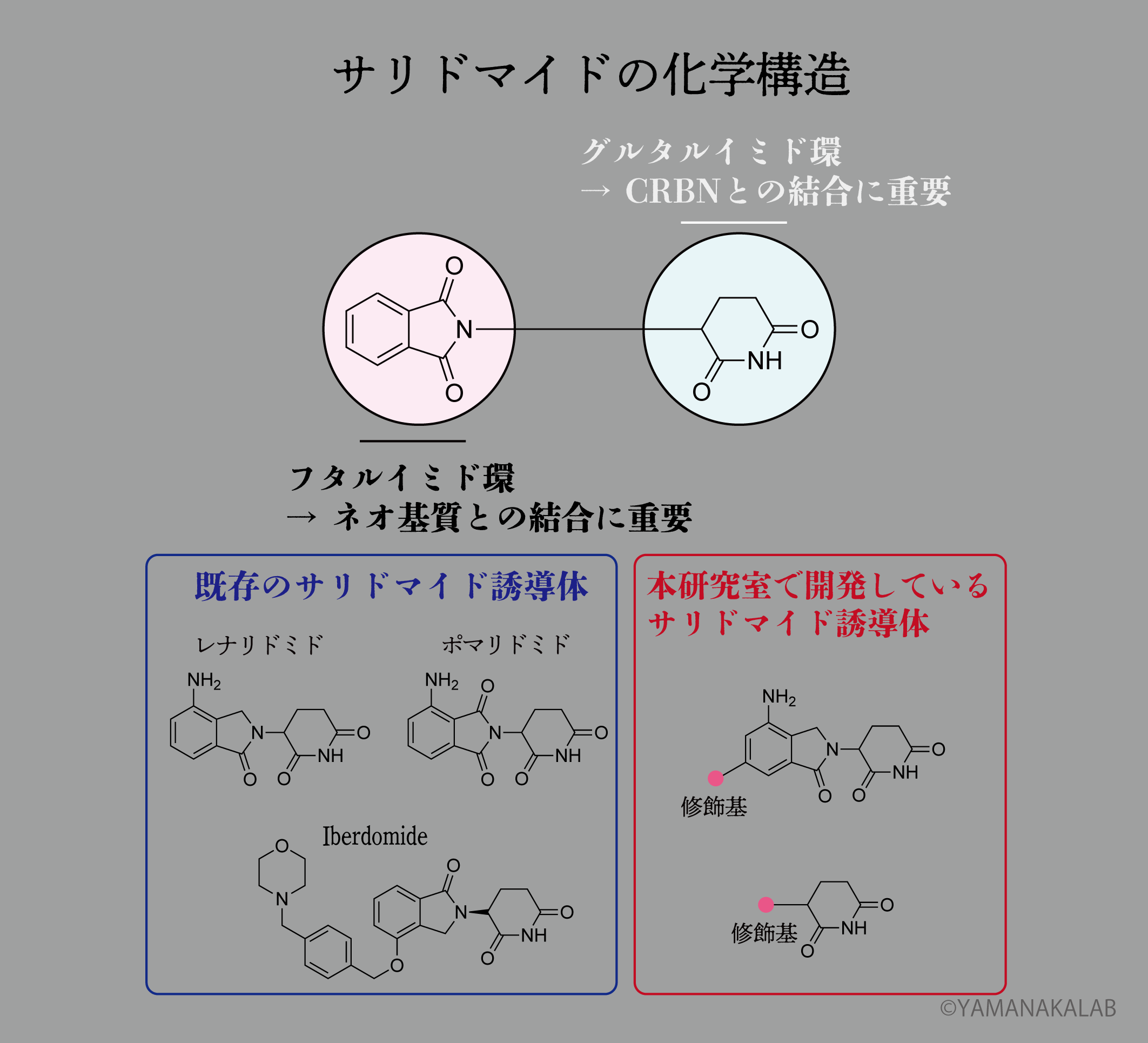 サリドマイド化学構造