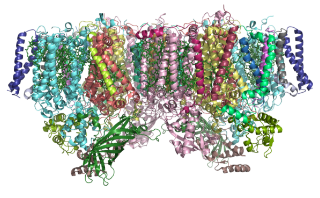 イメージ：Division of Proteo-Drug-Discovery Sciences