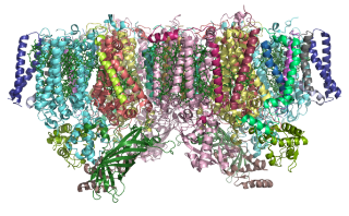 イメージ：生体超分子研究部門