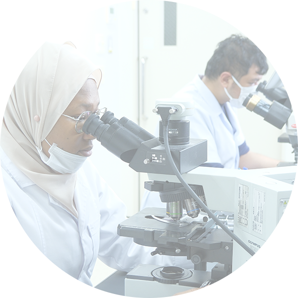 イメージ：スライド画像8