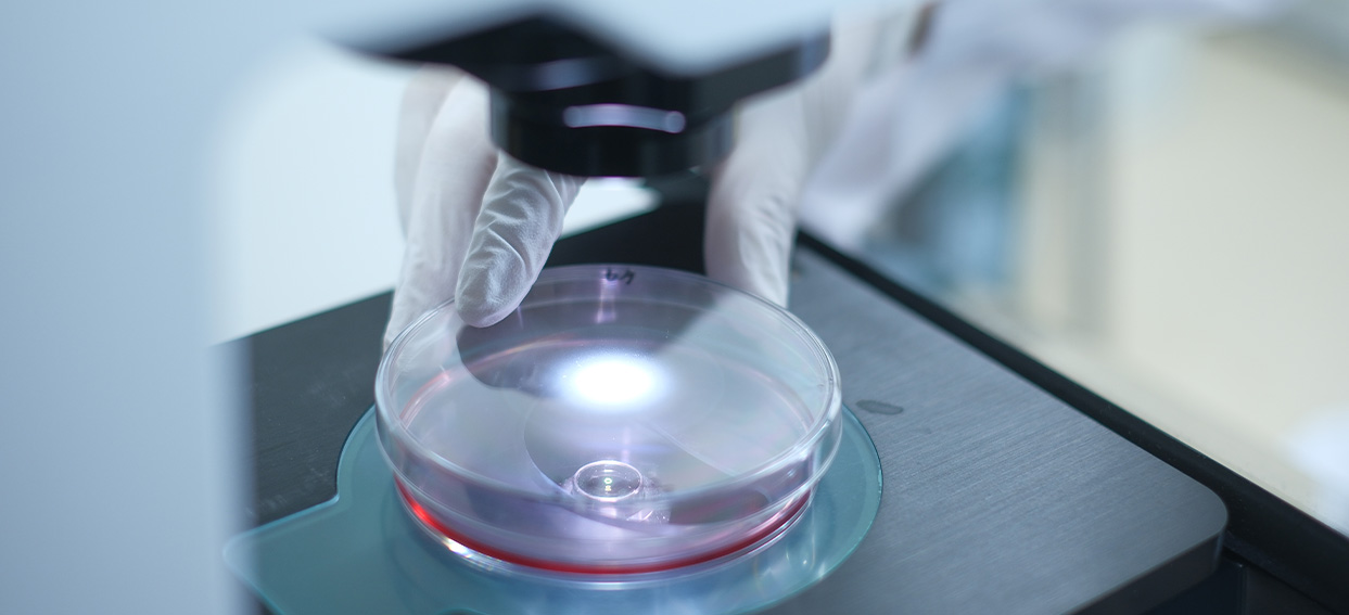 イメージ:共同利用・共同研究拠点 PRiME