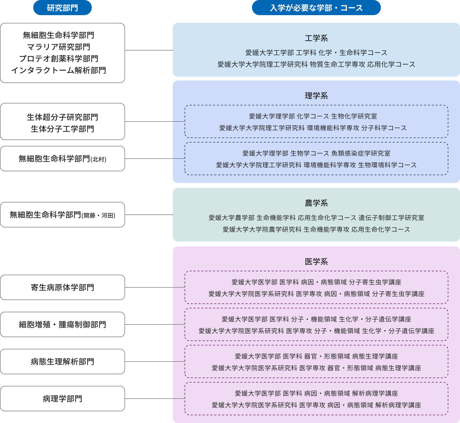 イメージ：プロテオサイエンスセンター教員と担当学部の関係