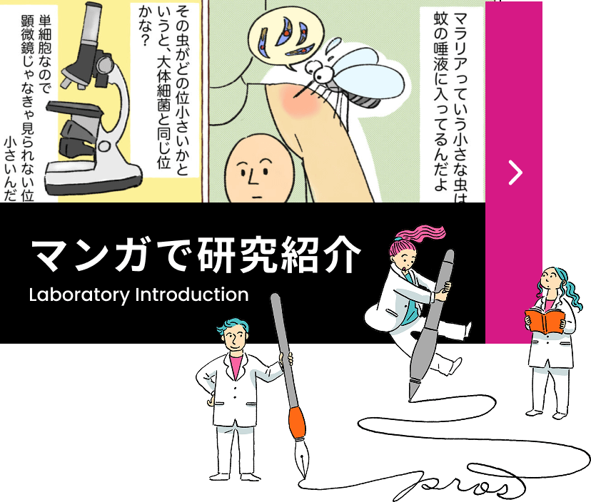 マンガで研究紹介 Laboratory Introduction