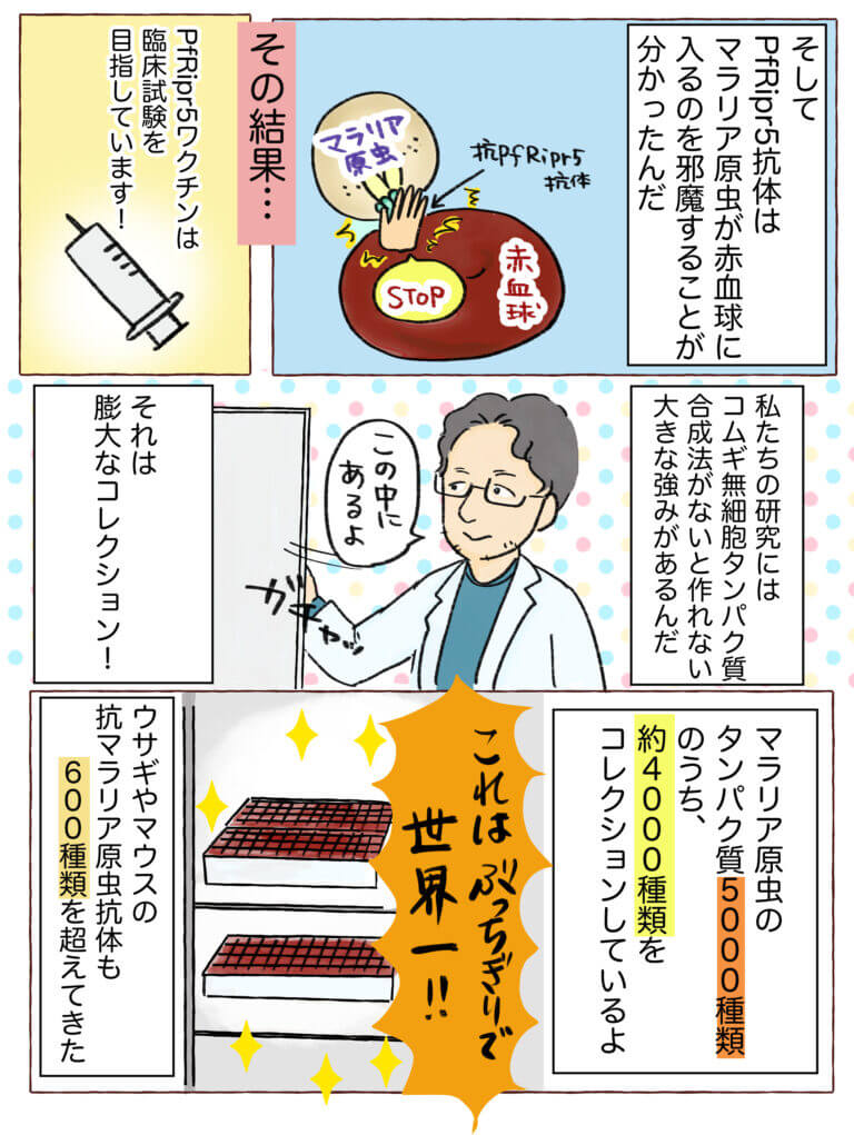 マンガで研究紹介 ページ12