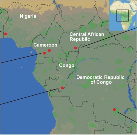 イメージ：研究に用いたネズミマラリア原虫の西アフリカ諸国における採取地点（赤丸）